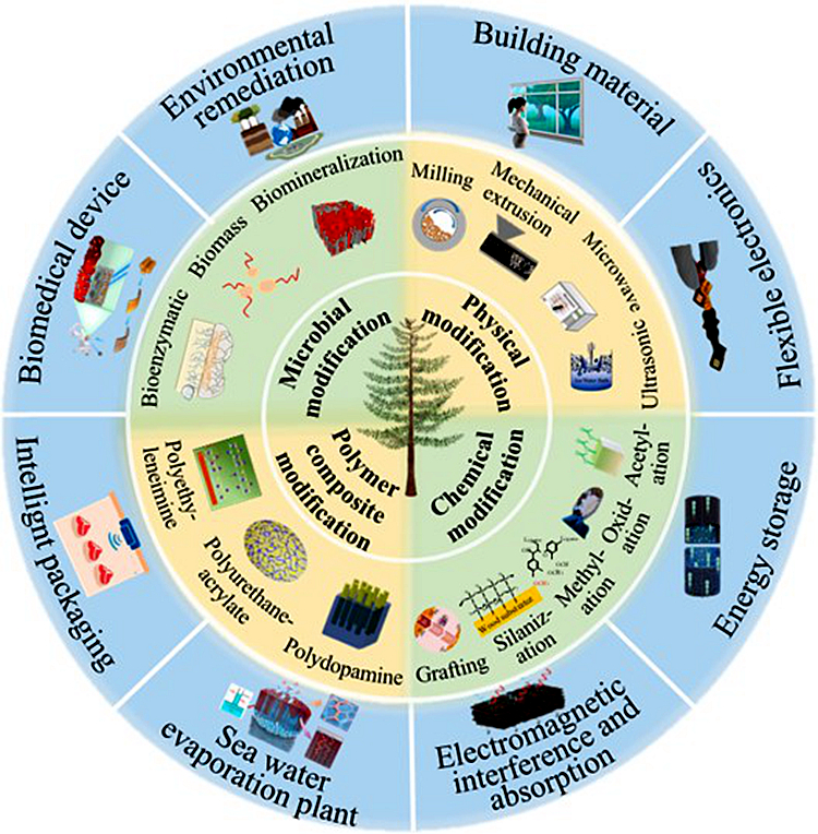 图片4_副本_81047图片4_副本