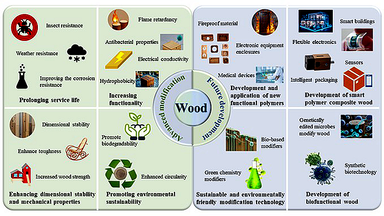 图片3_副本_21908图片3_副本