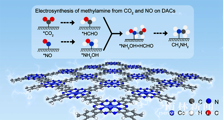 图片5_副本_50101图片5_副本