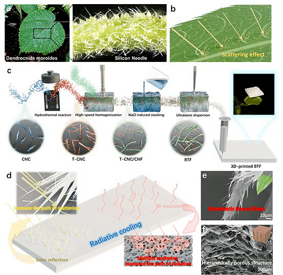 图片1_副本_27077图片1_副本
