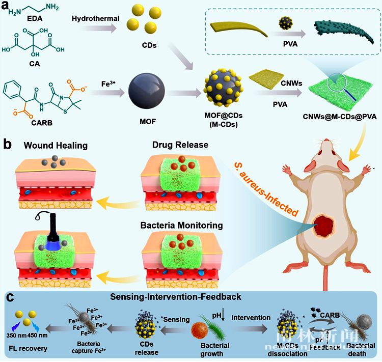 图片1_副本_66535图片1_副本