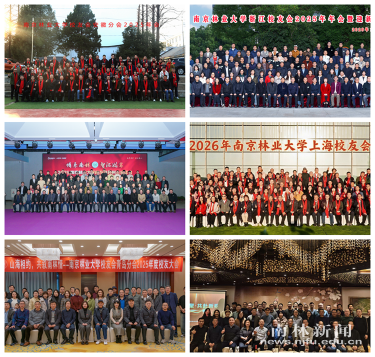 微信图片_20260203130452_219_1463_副本_副本