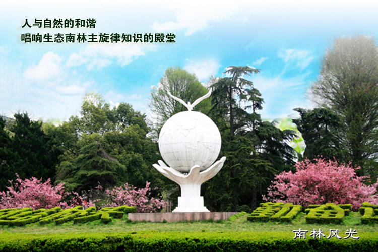 www.shanpow.com_www.njfu.edu.cn。