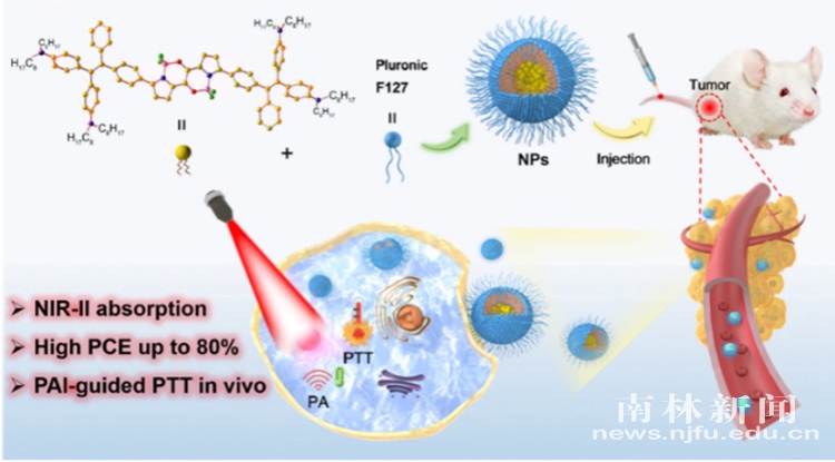 我校学者在《Angewandte Chemie International Edition》上发表研究成果