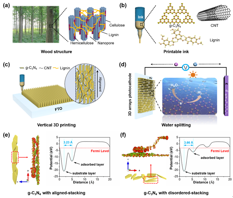 我校青年教师在《Advanced Functional Materials》上发表研究成果
