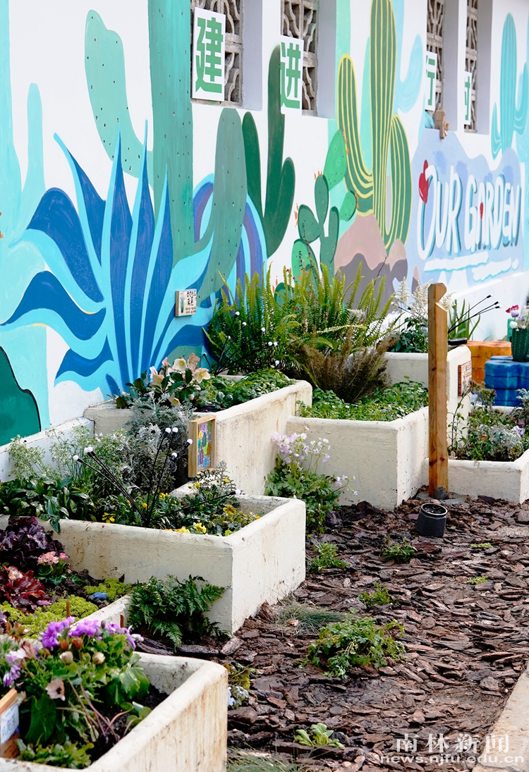 4.花园里的植物_副本