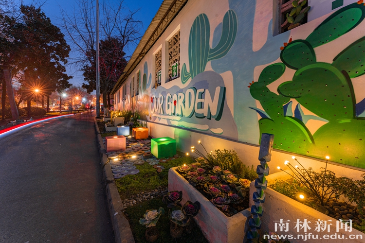 5.花园夜景_副本