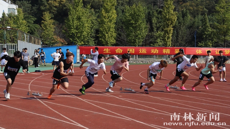 南京林业大学举行第55届田径运动会