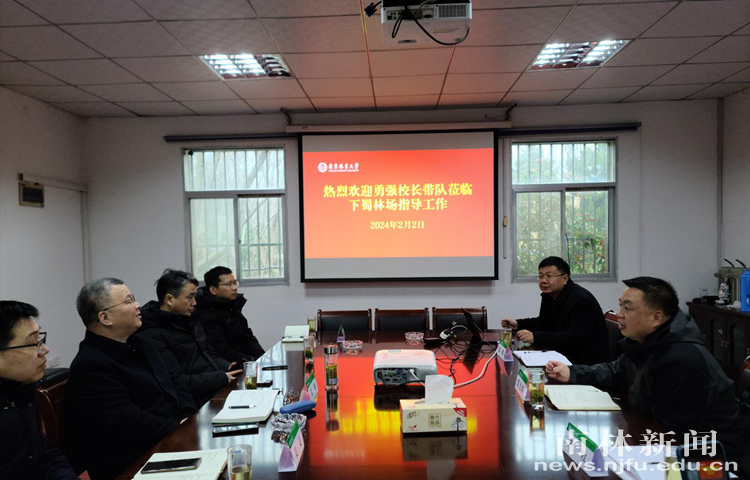QQ截图20240202175645