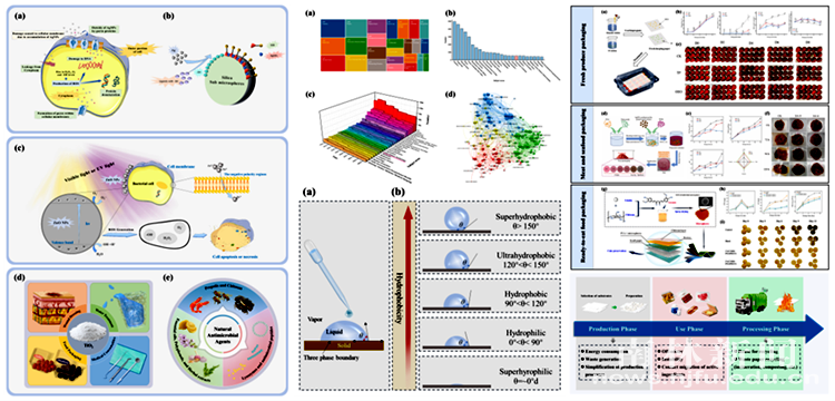 图片2_副本_32187图片2_副本