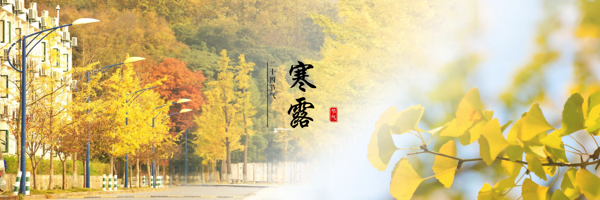 寒露