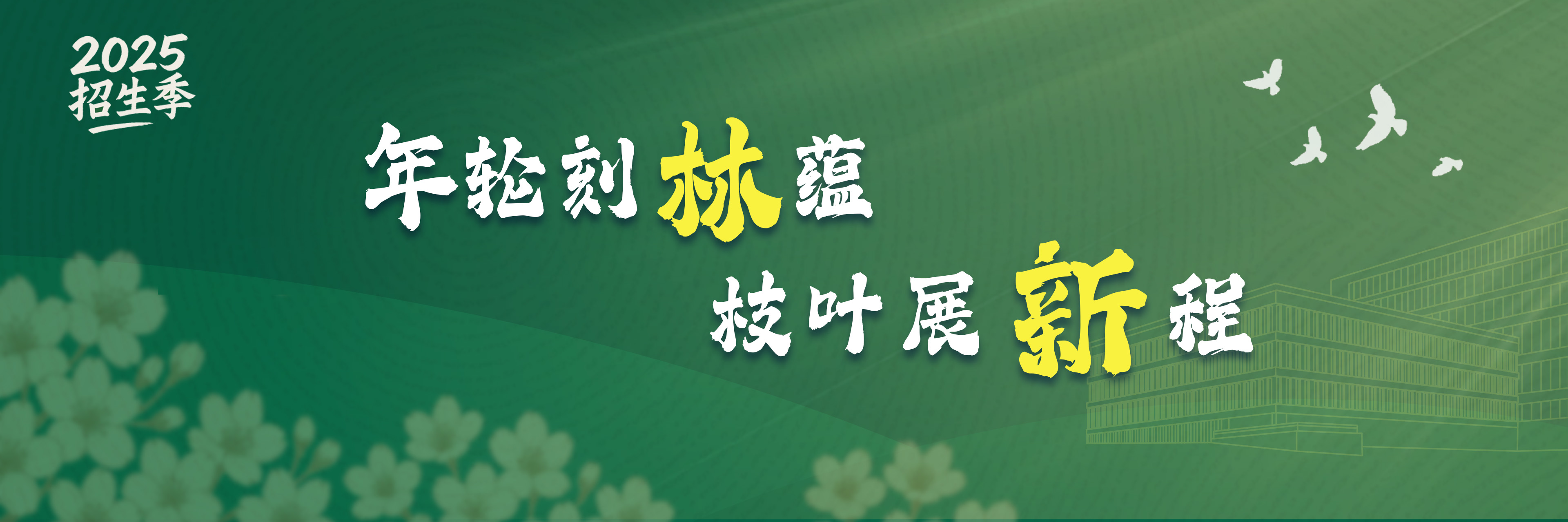 2025招生季：年轮刻林蕴，枝...