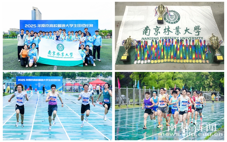 NeoImage_副本_45940NeoImage_副本