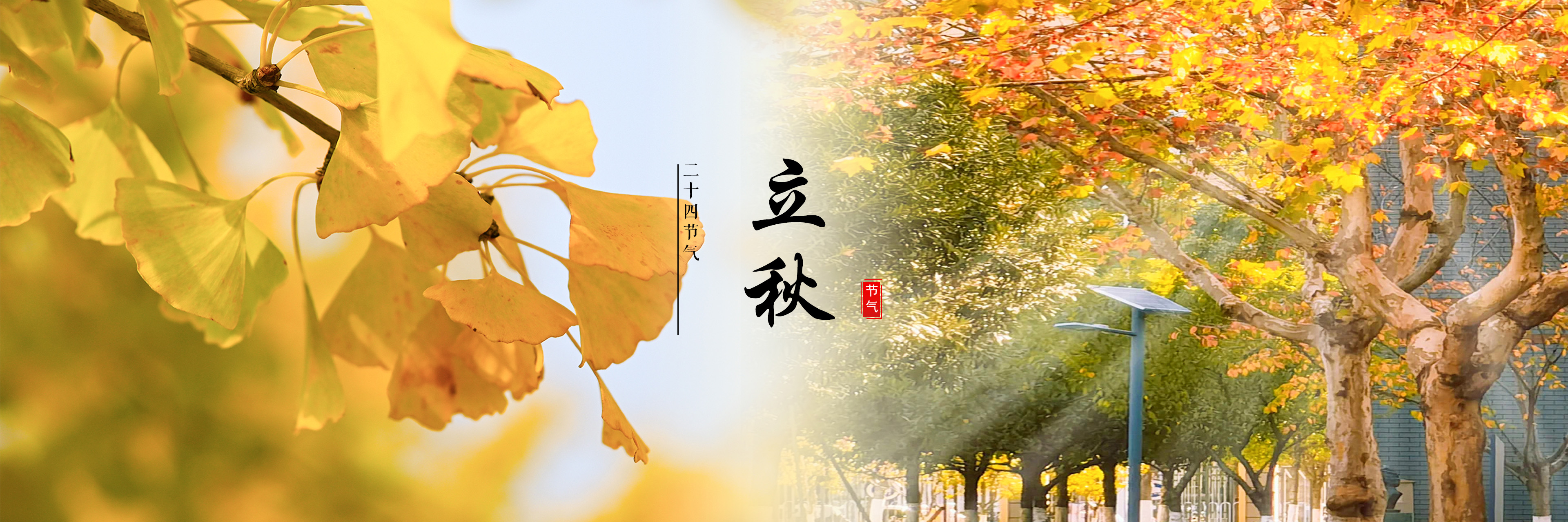 立秋