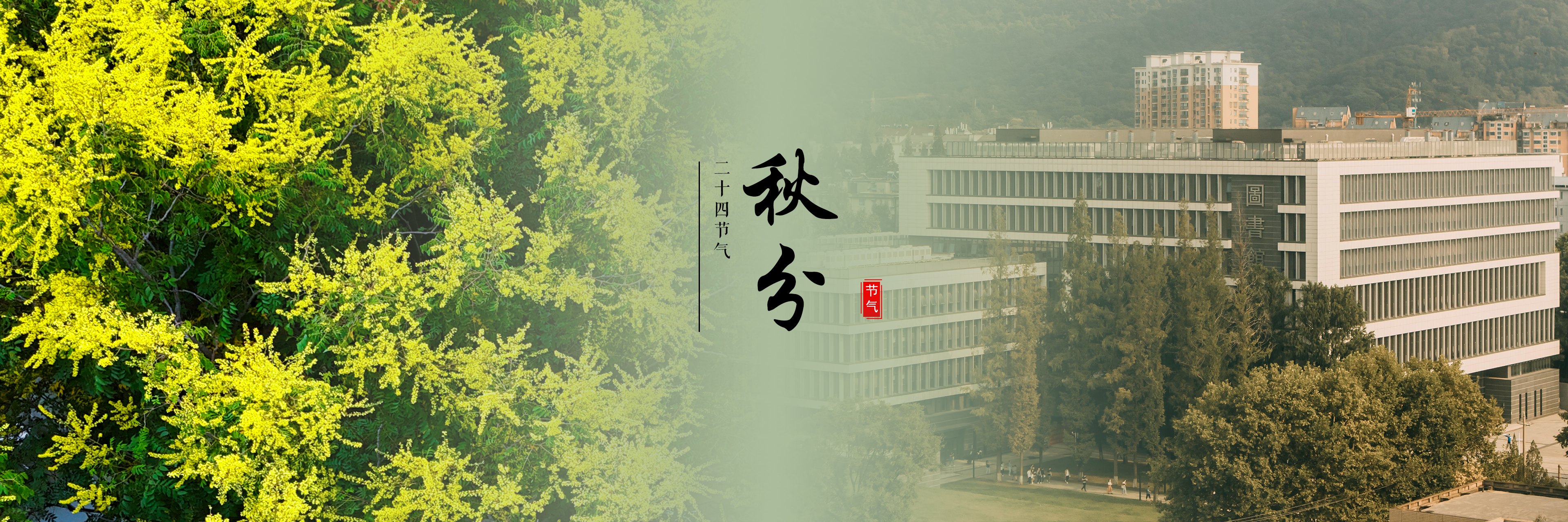 秋分