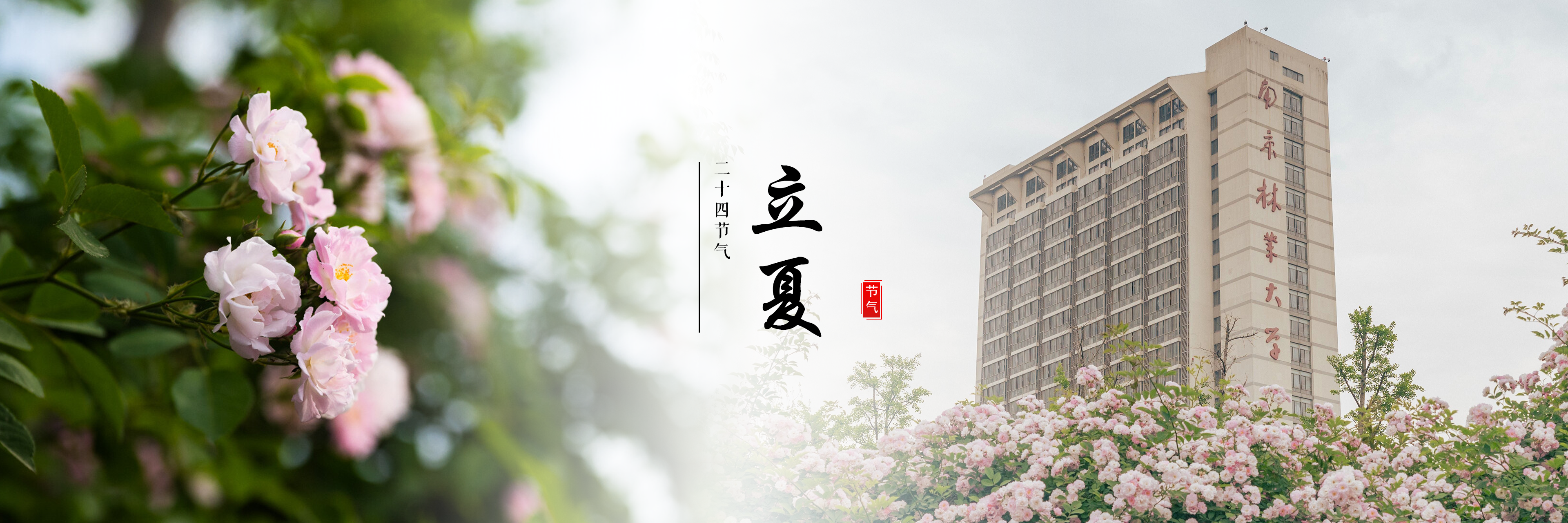 立夏