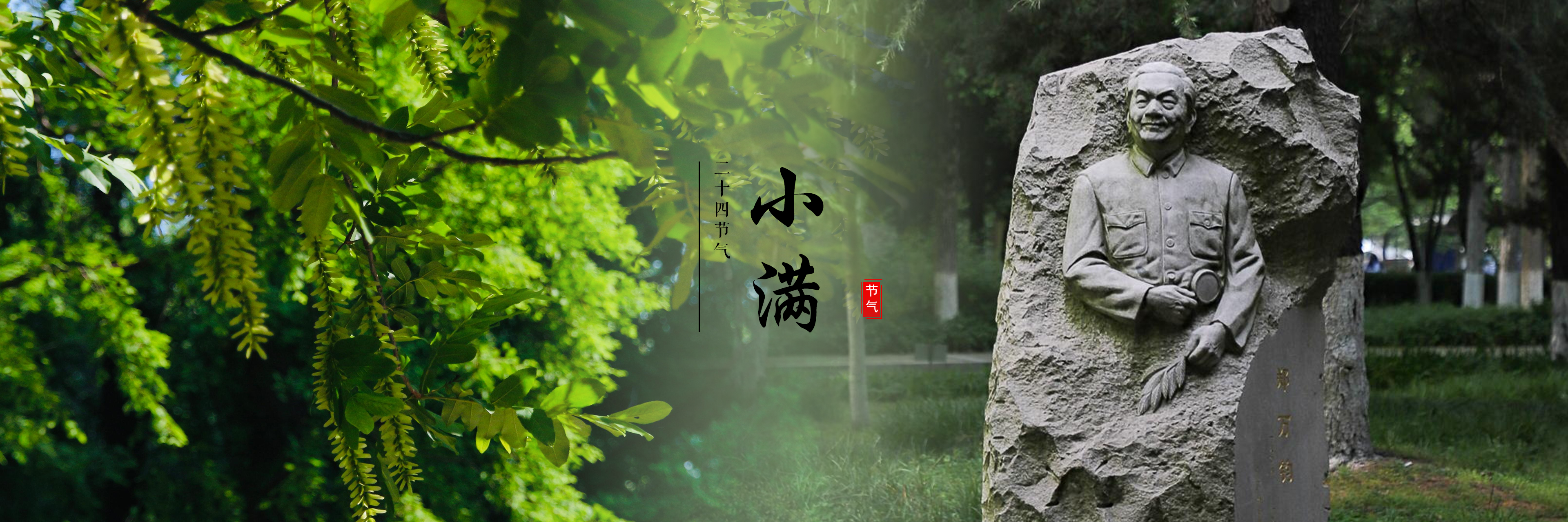 小满