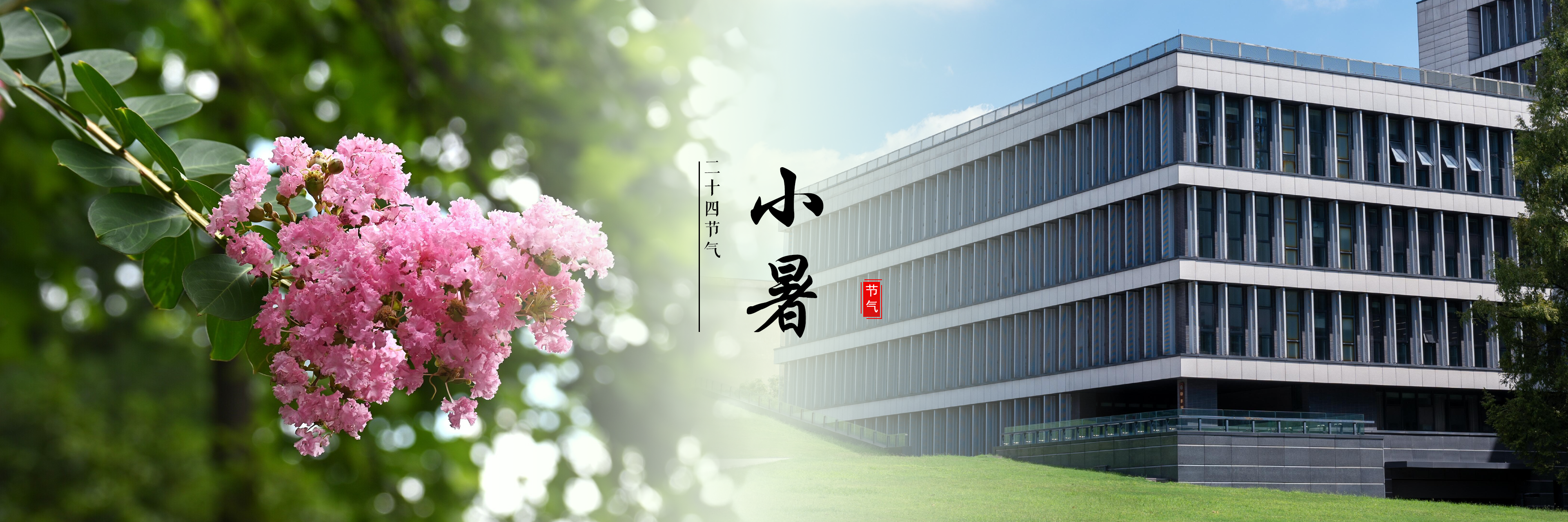 小暑
