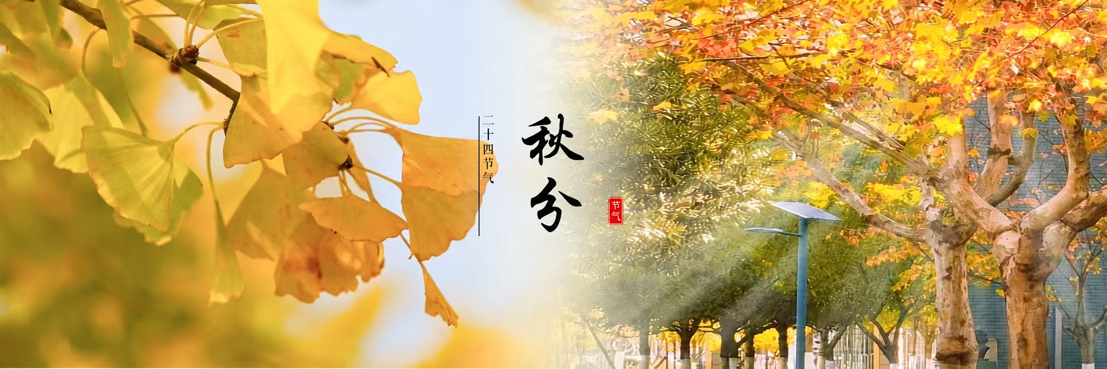 秋分