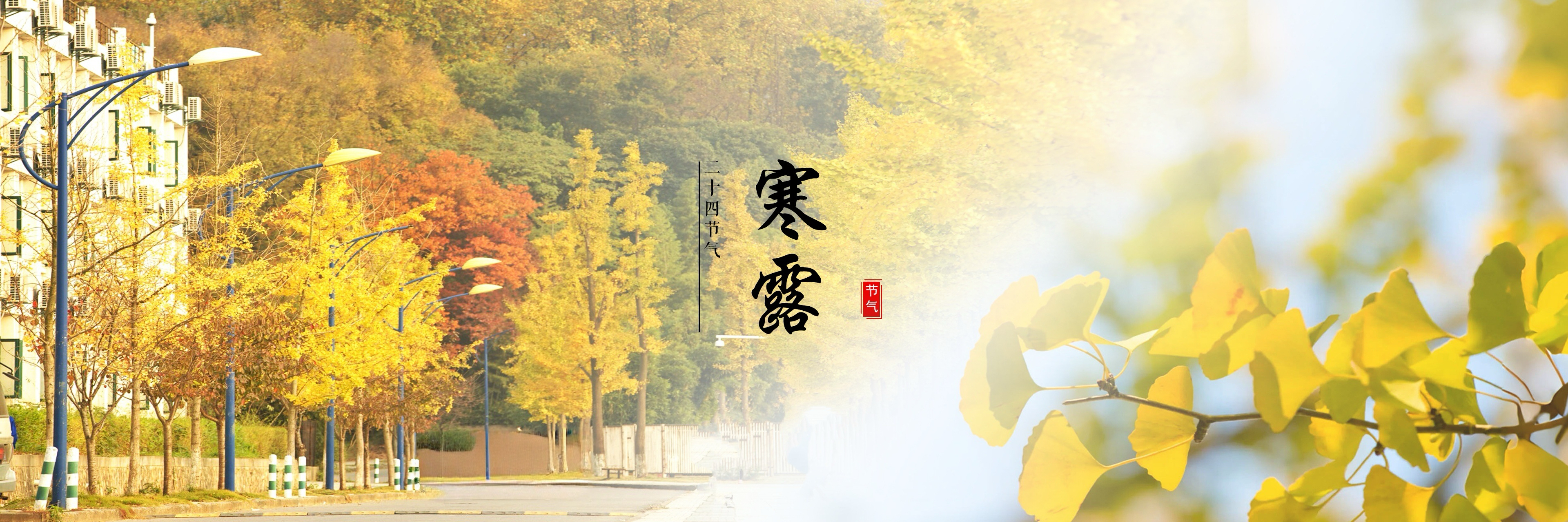寒露
