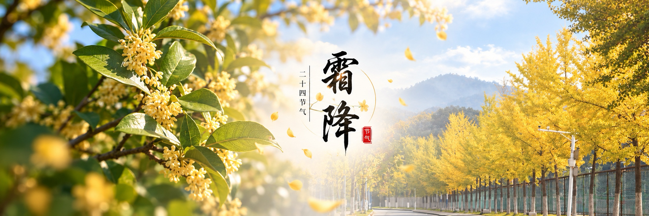霜降