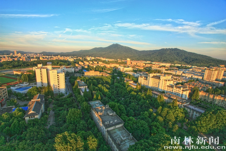 镜头里的南林四季